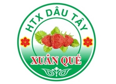 Câu chuyện truyền cảm hứng: “Dâu tây Xuân Quế thay đổi cơ cấu cây trồng thúc đẩy phong trào sản xuất dâu tây tại Tây Bắc, Việt Nam”