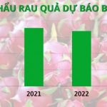 Xuất khẩu rau quả dự báo bùng nổ năm 2023 với kim ngạch 4 tỷ USD